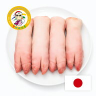 国産 豚足（とんそく / チョッパル）10本／20本 選択可 1セット【冷凍】【カンシネ食品】