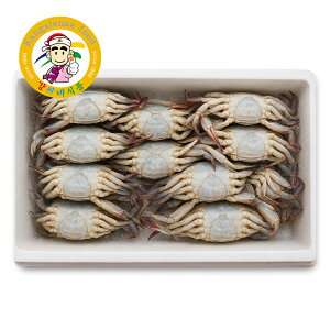 ؍Y X^Kj 600gi2tj100 JWPWp Ⓚ yJVlHiz