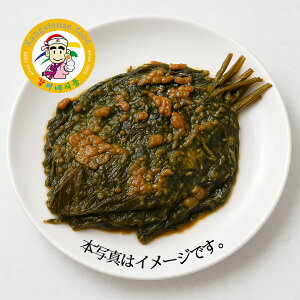 JVl GS}XЂS}̗tXЂ 500g ؍L` ؍Hi ؍ ؍ Ɛ XЂ S}̗tЂ т̂ ܂ Ⓚ①yJVlHiz
