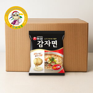 _S Ⴊ[ JW~ 40 (1BOX) ؍[ ؍Hi Ȗ CX^g `` hT  Ɩp e yJVlHiz