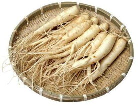 【冷凍】韓国産高麗生人参 冷凍水参1kg　　最高級サムゲタン用、お酒用＜韓国食品・韓国食材＞