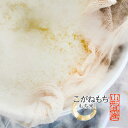 《玄米か白米お選び頂けます！》 令和7年産 特別栽培米のこがねもち こがねもち 山形県産 もち米 餅米 2kg 東北 米 玄米 山形 精米 モチ米 国産 赤飯 おこわ 餅 お餅 お歳暮 御中元 《こがねもち もち米》