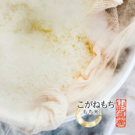 《玄米か白米お選び頂けます！》 令和7年産 特別栽培米のこがねもち こがねもち 山形県産 もち米 餅米 2kg 東北 米 玄米 山形 精米 モチ米 国産 赤飯 おこわ 餅 お餅 お歳暮 御中元 《こがねもち もち米》