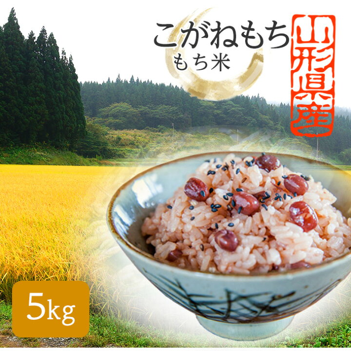 楽天市場】令和7年産 《 こがねもち 》 特別栽培米のもち米 5kg モチ米 
