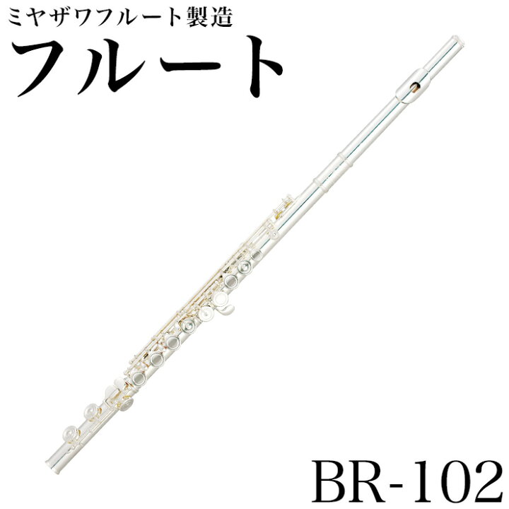 楽天市場】ミヤザワフルート BR-102E【ミヤザワフルート】 : 飯島町営業部
