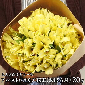 楽天市場 アルストロメリア 品種の通販 楽天市場 アルストロメリア 品種の通販