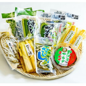 漬物 特選ギフト「信州減塩仲間2」 お中元 お歳暮 父の日 母の日