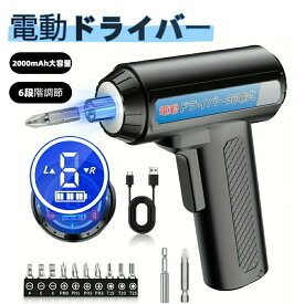 電動ドライバー 小型 強力 USB充電式 2000mAh大容量 正逆転切り替え 軽量 初心者向け DIY専用 トルク6段階調節 工具セット 家庭用 持ち運び便利 DIY女子 DIY男子 小型工具 pse認証 日本語説明書 電動ドライバー 送料無料