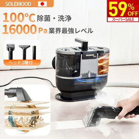 【スーパーSALE限定★59％OFF！】 カーペットクリーナー スチームクリーナー ソファークリーナー リンサー 布製品 バキューム ソファ ベッド クリーナー スチーム 洗浄機 洗濯機 大掃除 絨毯 クリーニング スポット ラグ 水掃除 掃除機 16,000pa強力吸引 初売り 福袋 新生活