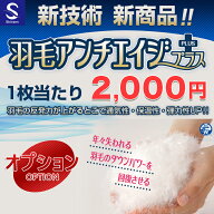 布団クリーニング【羽毛アンチエイジプラス】羽毛のダウンパワーを回復させる加工 羽毛 トリートメント …