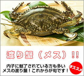 楽天市場 山口 ワタリガニの通販