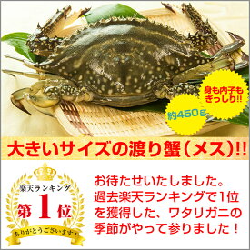 楽天市場 渡り蟹の通販
