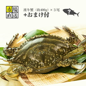 カニ！超新鮮！獲れたての活き締めワタリガニ(メス)特大(約400g)3尾入びっくりするほど大きいサイズ！