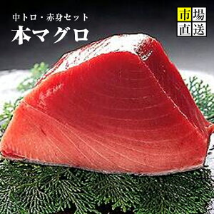 生 本マグロの人気商品 通販 価格比較 価格 Com
