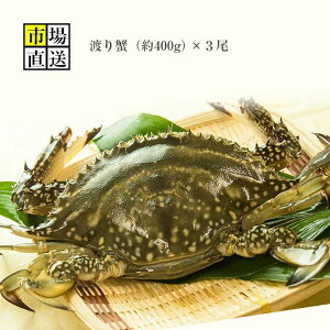 JjIVNIlꂽĂ̊߃^Kj(X)(400g)3т肷قǑ傫TCYI