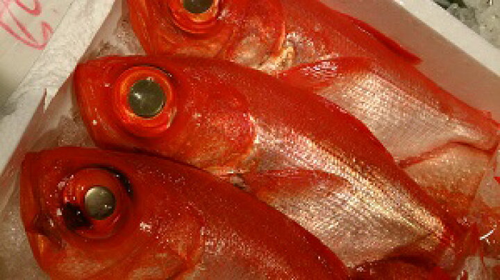 楽天市場 活き締め 天然金目鯛 キンメダイ １尾 約900g 新鮮魚宇丸