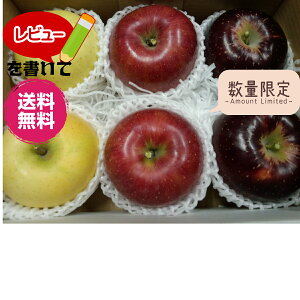 y񂲁zyΕMtgzyzsVimS[htsܖts̍tsnTӂtAlߍ킹2Lypz