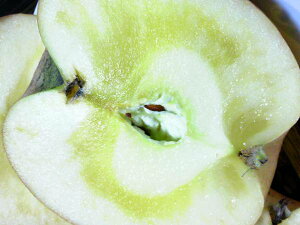 yz]̐lCiIy񂲁AӂzʁIpK13L!̂̊Ây󂠂zTӂSƒp