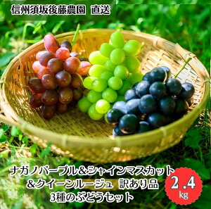 y_ziKmp[v VC}XJbgNC[[WR 3̂ԂǂZbg 󂠂i y[z2.4kg Hה MB{㓡_ Ԃǂ ʕ t[c 쌧{sY {̉