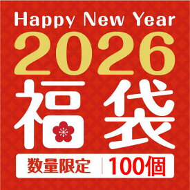 【年末特別企画】【ランダム発送約15セット】大人の秘密 福袋 大人オモチャ 女性用 2026 大人の玩具福袋