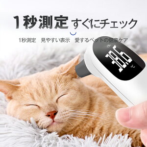 ybgp̉v Lp ԊỎv v pxv