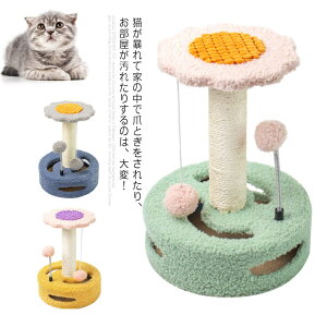 ܂Ƃ|[ Lbg^[ ܂Ƃ|[ VRTCU ܂Ƃ L ˂  ybgp   Vn XgX U