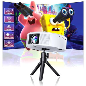 vWFN^[ ^ VANBAR11vVŁEdtH[JXEyAndroid TV12.0E4KΉEV䓊e vWFN^[ ƒp 19000LMPx z[vWFN^[ 50Y[@\ 5GWIFI Bluetooth5.3 X^