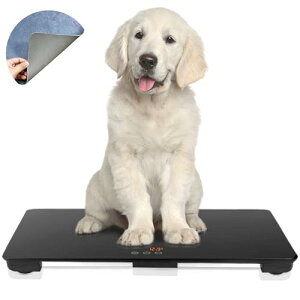 p̏dvAp̏dv65x45cmAő̏d100kgAx10gAAƔLɓKĂ܂Å~߃}bg