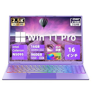 16C`ʃm[gp\RWin 11/MS Office 2019ڃp\Rm[g/CeCeleron N5095CPU 2.00GHz`2.90GHz/2.5KtIPS 𑜓x(2560*1600)/DDR4 16GB/SSD 960GB/wFؕt/p[v
