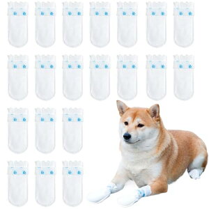  C pC pV[Y pĝău[c C hbOu[c UEȂ ی h~ h h~ ߉\ L p ^ ^ o U ₷iMj20Z