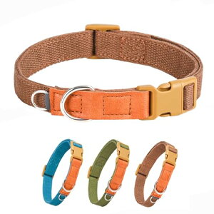 THAIN   x[VbN   ̎ vX`bNobN y ybg (u[, M)