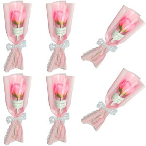 Lakymisy \[vt[ oԑ 6{Zbg փu[P ʕ GKg [Yԑ  { o^Cf[ v|[Y a hV̓ ̓ ƎMtg 蕨  