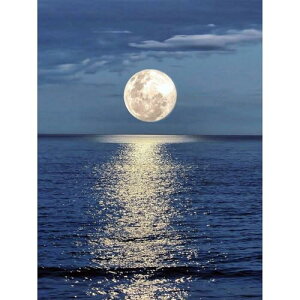 5D DIY ダイヤモンドアート月と海 人気, ダイヤモンドペインティング風景, モザイクアート初心者 大人,ダイヤモンド塗装全貼り付けタイプ家の壁装飾用 (30 x 40 cm)