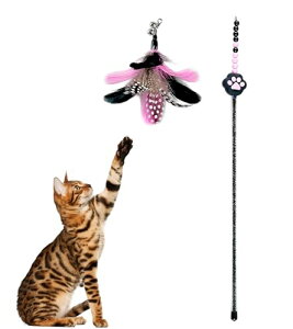 HOLYCAT L 炵 L  L炵 H ˂ߋ VRH Ĥ lV LV Vѓ t Ĥ  VR̉H ӂӂ  ^s XgX 