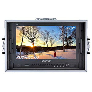 SEETEC P173-9HSD-CO 17.3�C���`1920x1080�f�X�N�g�b�v���j�^�[�i�u���[�h�L���X�gLCD���j�^�����O�p�j�A3G-SDI 4K HDMI AV YPbPr�t��HD 8�r�b�g�Ńv���t�F�b�V���i�����C�u�C�x���g�|�X�g�v���_�N�V�����f