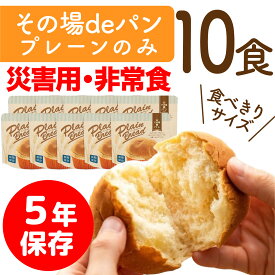 非常食 パン 保存食 5年保存 非常食セット 防災食 10食 セット 備蓄 おかず 惣菜 長期保存 防災セット 食品 レトルト 業務用 防災 防災グッズ 防災食セット アルファ麺 賞味期限 5年 常温保存 送料無料 単品 備蓄食品 保存食セット 防災用品 5年 アウトドア