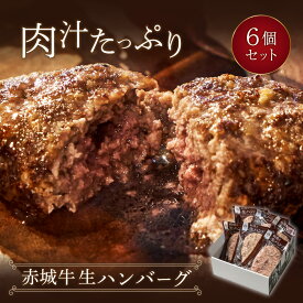 《ギフト用》肉汁たっぷり 無添加 国産 赤城牛 生ハンバーグ 6個セット（130g×6個） 粗挽き ギフト プレゼント 冷凍 贈り物 ハンバーガー パテ 肉 お肉 お取り寄せ グルメ 和牛 国産牛 真空パック 粗挽きハンバーグ 牛肉 和豚もち豚 夕食 おかず 簡単調理 お惣菜★