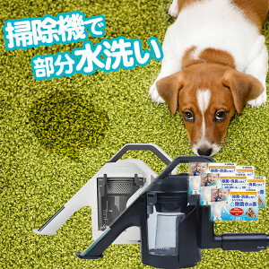 y}f[!!WғX1ʊlzySzԋۏ؁{1NԖ̃_uۏؕtzswitle XCg ې̑f40񕪓Tt 􂢃N[i[wbh ybg  ݂