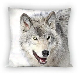 オオカミ　狼　ウルフ　おおかみ　クッション　枕　背あて　40cm x 40cm