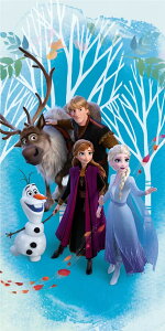 �A�i�Ɛ�̏���2 Disney frozen2 Beach Towel �r�[�`�^�I�� �o�X�^�I�� 140cm x 70cm