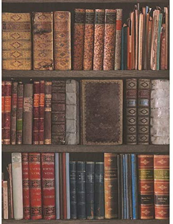 楽天市場 壁紙 ウォールペーパー 図書館の本 53cm X 1005cm Sirius