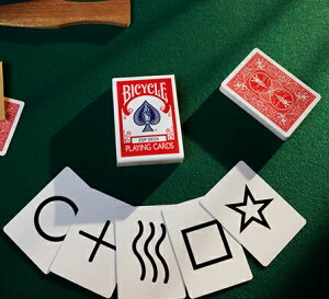 oCXN@BICYCLE@ESPJ[h@ESP DECK@ԁ@ ws