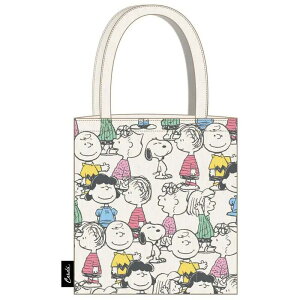 Xk[s[@s[ibc@g[gobO 񂰃obO@VbsOobO@obO@GRobO@zn@@39cm x 36cm SNOOPY PEANUTS@ws