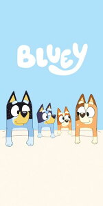 BLUEY�@�u���[�C�@ Beach Towel �r�[�`�^�I�� �o�X�^�I�� 140cm x 70cm�@��100��