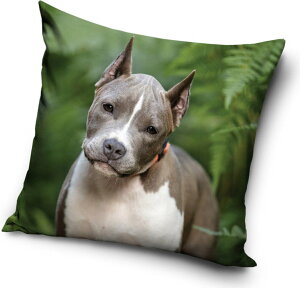 ���@�q���@�A�����J���E�s�b�g�u���E�e���A�@�N�b�V�����@���@�w���ā@40cm x 40cm