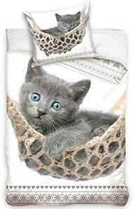 lR L ˂ qL eL L CAT VO zcJo[+Jo[