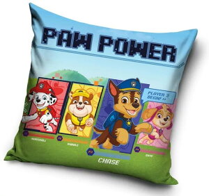pEpg[@Paw Patrol@ NbV@wā@@ 40cm x 40cm