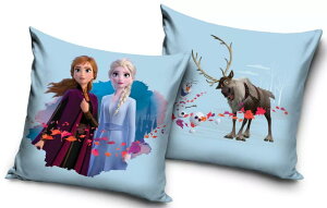 fBYj[@AiƐ̏@Disney Frozen@ NbV@wā@@ 40cm x 40cm