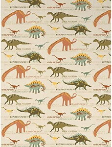 ǎ@NX@EH[y[p[@ 53cm x 1005cm