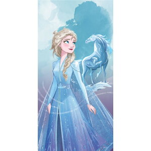�A�i�Ɛ�̏��� �G���T�@�A�i��@Disney frozen Beach Towel �r�[�`�^�I�� �o�X�^�I�� 140cm x 70cm